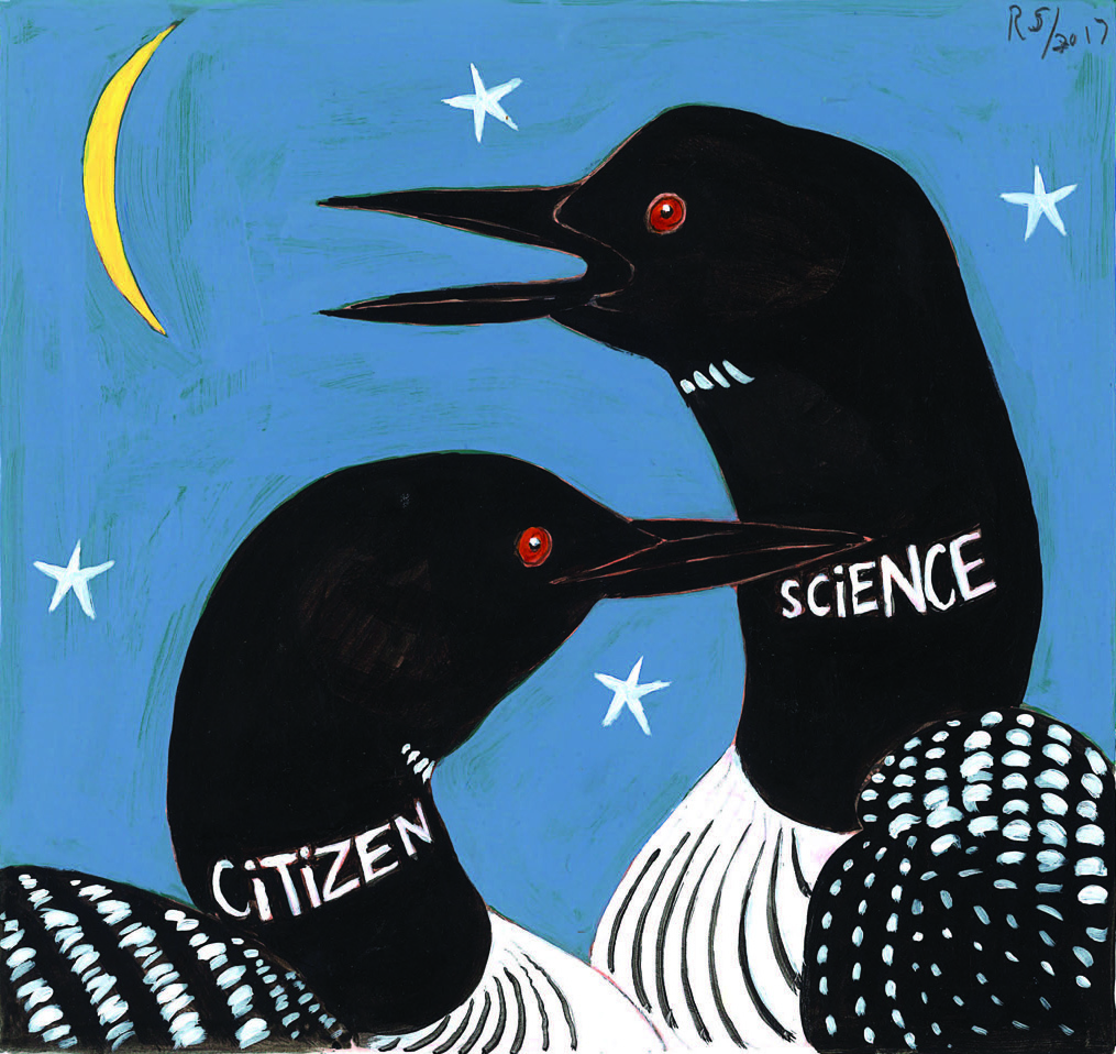 Painting of two loons with words "citizen science"